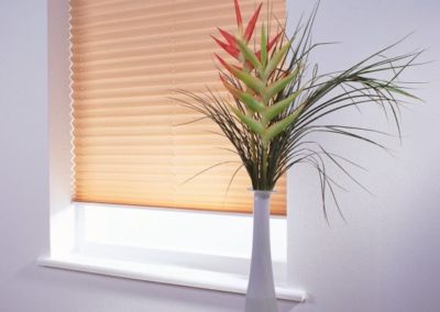 Contrasting Pleated Blinds